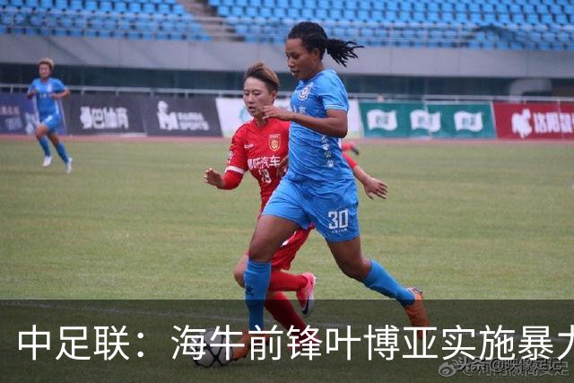 中足联：海牛前锋叶博亚实施暴力行为 停赛4场罚款4万